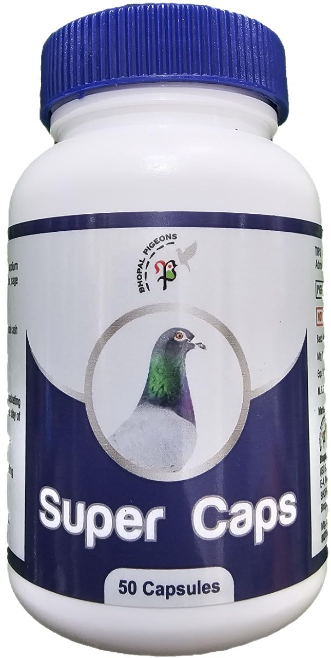 Protein-P-500 for Pigeons