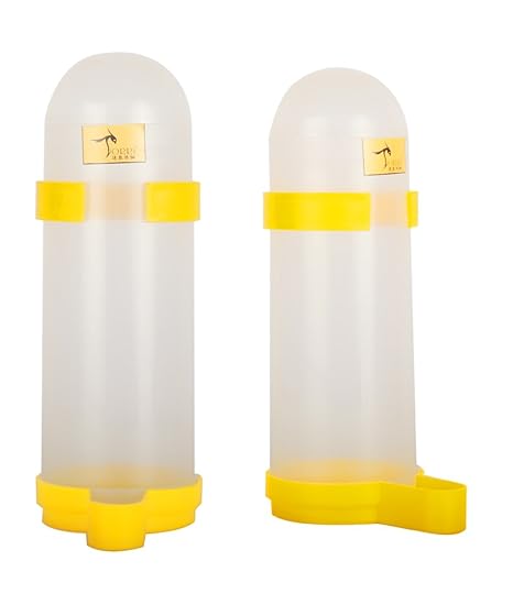 Torri® Jumbo Bird and Water Feeder