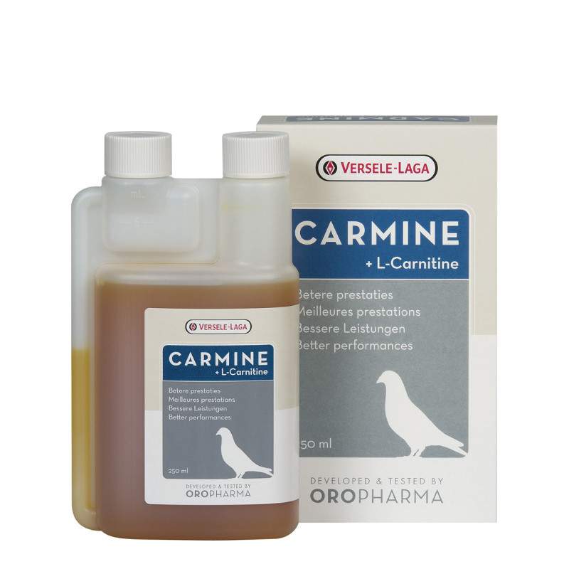 Carmine Liquid Carnitine for Pigeons, 250ml