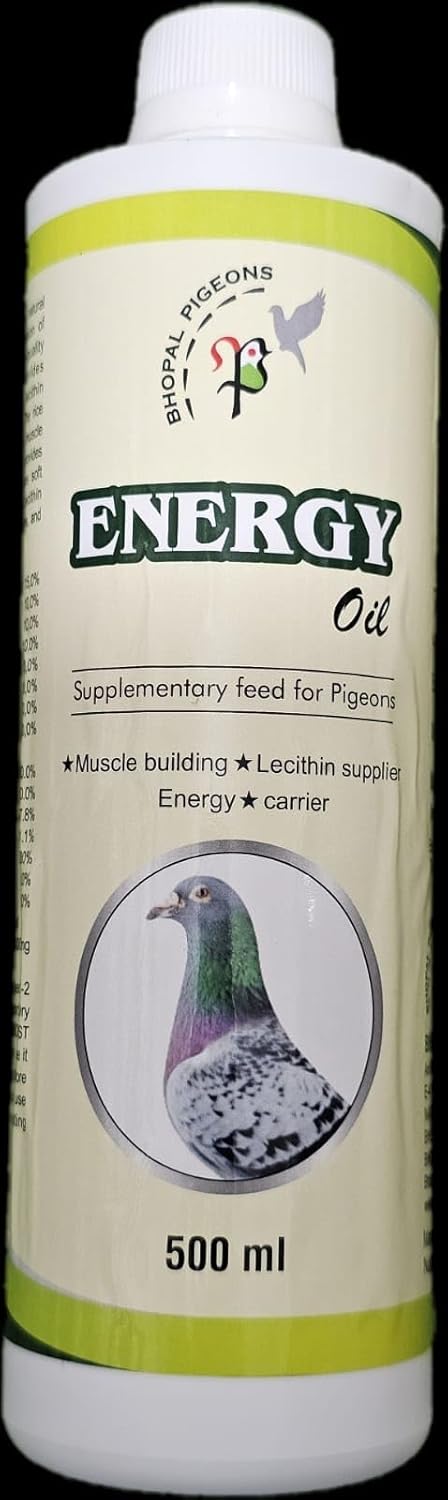Piegon-energy-oil-bhopal