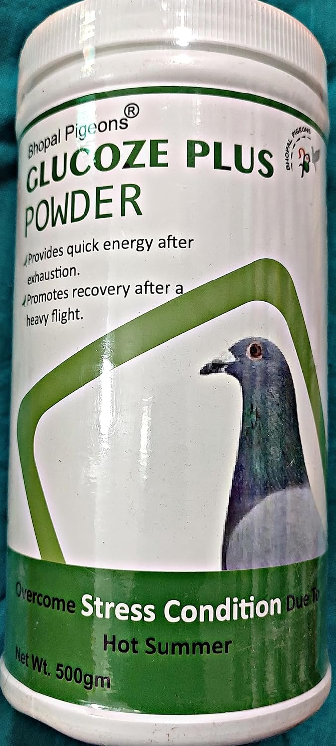 Pigeons Recovery