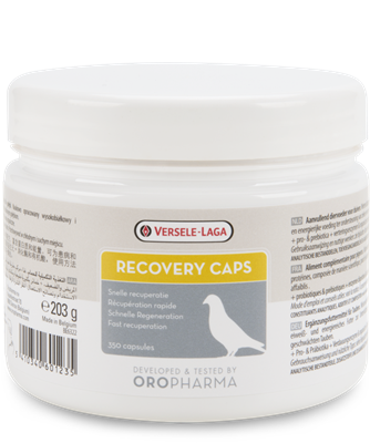Versele-laga Recovery Caps